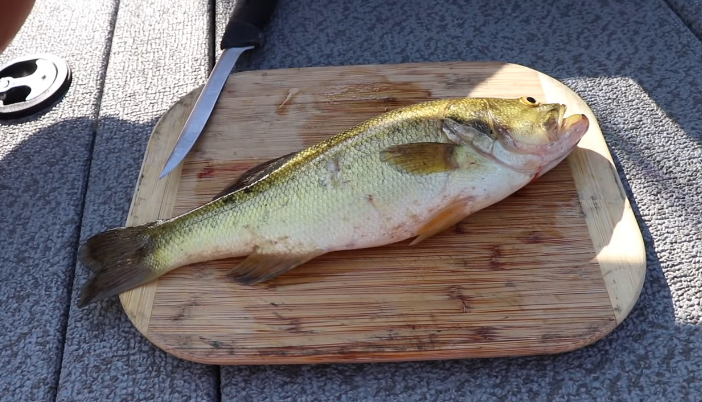 are largemouth bass good to eat