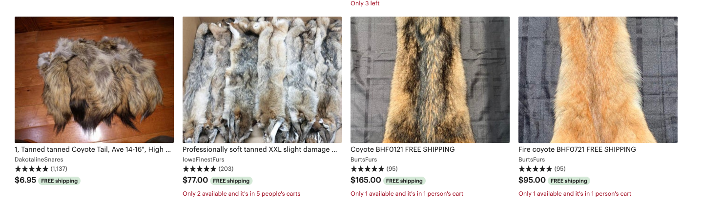 How much do coyote pelts sell for
